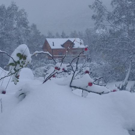 Chalet Bois Au Milieu Des Pyrenees LʼHospitalet-près-lʼAndorre Εξωτερικό φωτογραφία