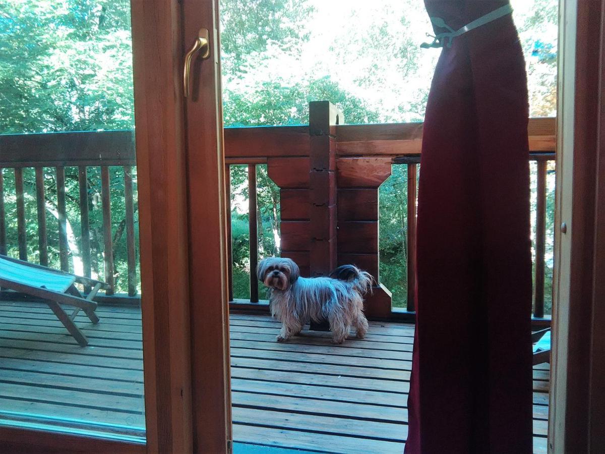 Chalet Bois Au Milieu Des Pyrenees LʼHospitalet-près-lʼAndorre Εξωτερικό φωτογραφία