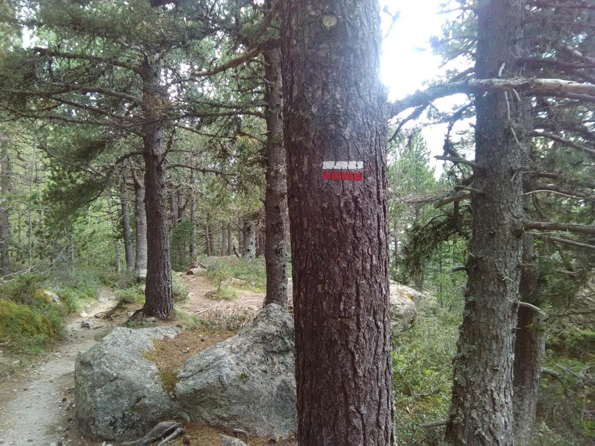 Chalet Bois Au Milieu Des Pyrenees LʼHospitalet-près-lʼAndorre Εξωτερικό φωτογραφία