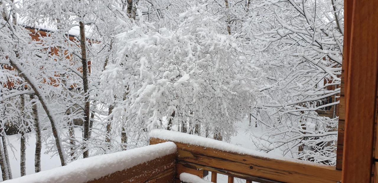 Chalet Bois Au Milieu Des Pyrenees LʼHospitalet-près-lʼAndorre Εξωτερικό φωτογραφία